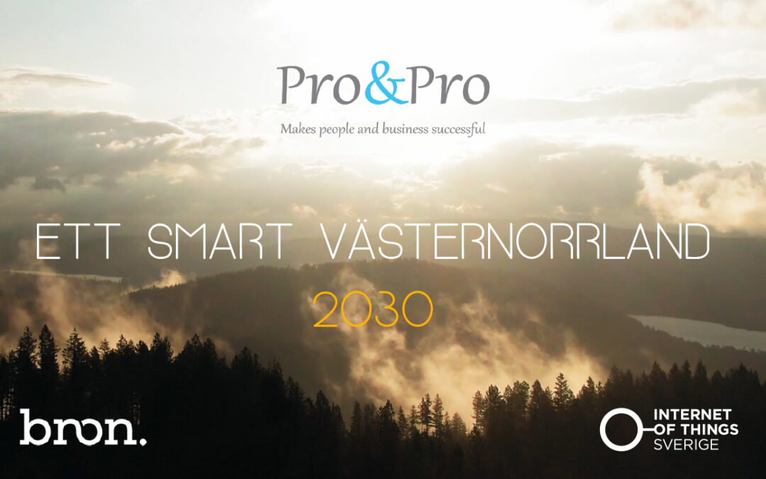 Ett Smart Västernorrland 2030 – Rapport