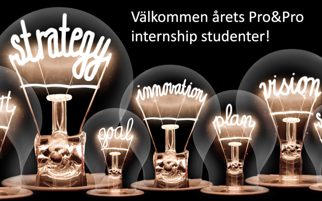 Årets internship studenter