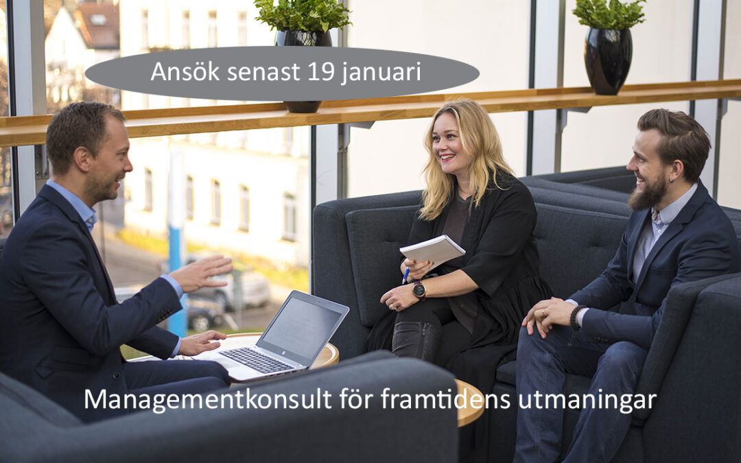 Managementkonsult för framtiden